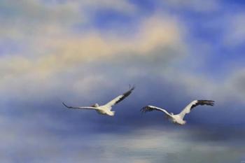Pelicans At Sea | Obraz na stenu