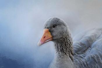 The Greylag Goose | Obraz na stenu