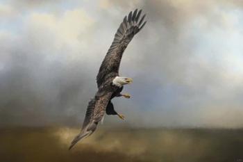 Up Against The Stormy Sea Bald Eagle | Obraz na stenu