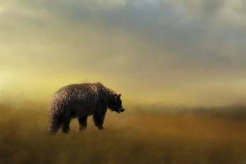 Where The Grizzly Roams | Obraz na stenu