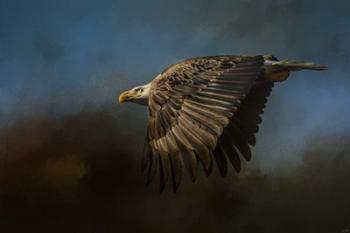 Storm Chaser Bald Eagle | Obraz na stenu