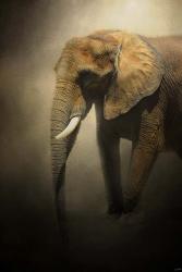 The Elephant Emerges | Obraz na stenu