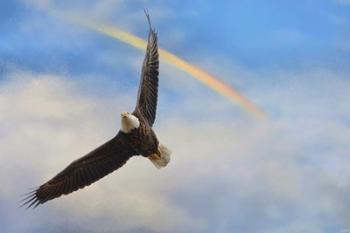 When My Wings Touch The Rainbow | Obraz na stenu