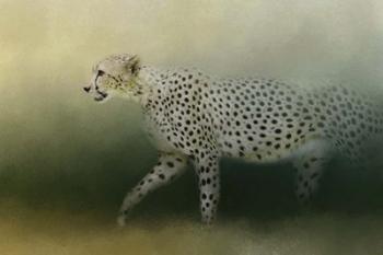 Cheetah On The Prowl | Obraz na stenu