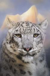 Snow Leopard At The Mountain | Obraz na stenu
