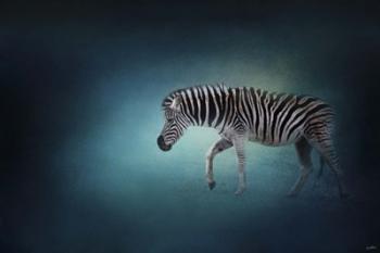 Zebra In The Moonlight | Obraz na stenu