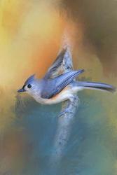 In A Flash Tufted Titmouse | Obraz na stenu