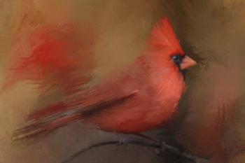 America's Favorite Red Bird | Obraz na stenu