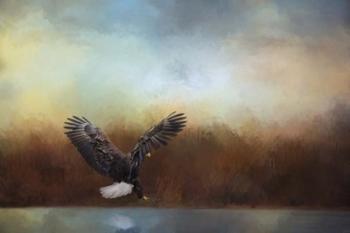 Eagle Hunting In The Marsh | Obraz na stenu