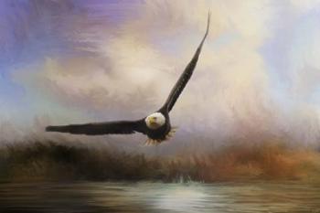 Eagle In The Marsh | Obraz na stenu