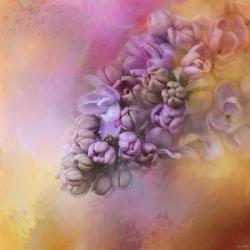 Sun On The Lilacs | Obraz na stenu