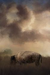 Bison Grazing At Sunrise | Obraz na stenu