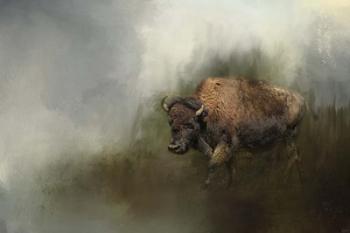 Bison After The Mud Bath | Obraz na stenu