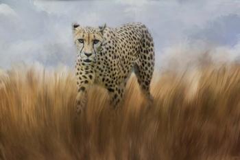 Cheetah In The Field | Obraz na stenu