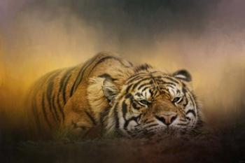 The Tiger Awakens | Obraz na stenu
