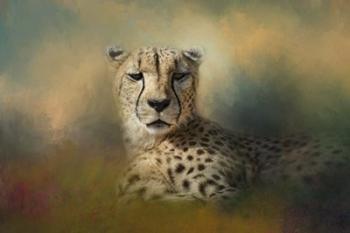 Cheetah Enjoying A Summer Day | Obraz na stenu