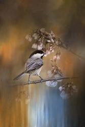 Chickadee In The Garden | Obraz na stenu