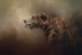 Morning Grizzly | Obraz na stenu