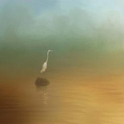 Egret at Sea | Obraz na stenu