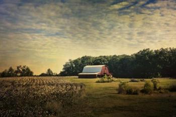 Red Barn At The Cotton Field | Obraz na stenu