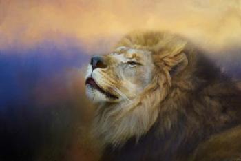 Do Lions Go To Heaven | Obraz na stenu