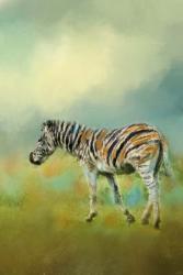 Summer Zebra 2 | Obraz na stenu