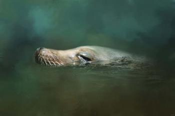 The Sea Lion Emerges | Obraz na stenu