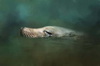 The Sea Lion Emerges | Obraz na stenu