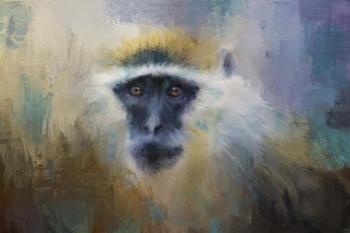 African Grivet Monkey | Obraz na stenu