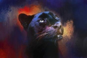 Colorful Expressions Black Leopard | Obraz na stenu