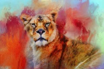Colorful Expressions Lioness | Obraz na stenu