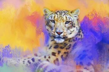Colorful Expressions Snow Leopard | Obraz na stenu