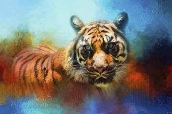 Colorful Expressions Tiger 2 | Obraz na stenu