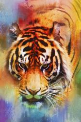Colorful Expressions Tiger | Obraz na stenu