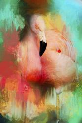 Colorful Expressions Flamingo | Obraz na stenu