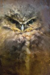 Burrowing Owl | Obraz na stenu