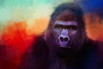 Colorful Expressions Gorilla | Obraz na stenu