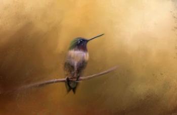 Hummingbird in Autumn | Obraz na stenu