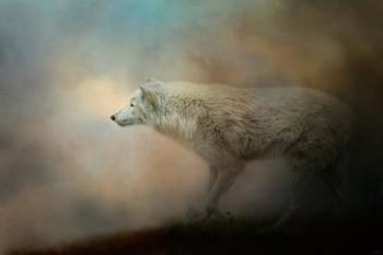 Journey Of The Timber Wolf | Obraz na stenu