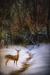 Buck At Snowy Creek | Obraz na stenu