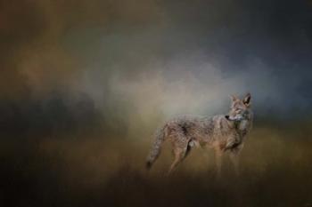 Coyote At Shiloh | Obraz na stenu