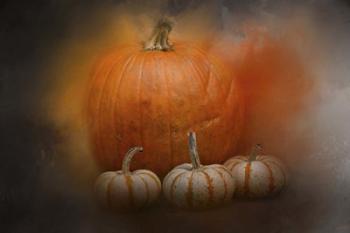 Pumpkins In October | Obraz na stenu