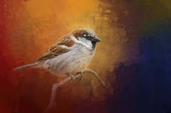 Autumn Sparrow | Obraz na stenu