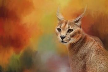 Caracal In Autumn | Obraz na stenu