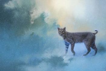 Winter Bobcat | Obraz na stenu