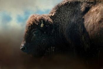 American Bison After The Storm | Obraz na stenu