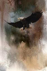 Winter Eagle 1 | Obraz na stenu