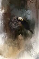 Winter Eagle 2 | Obraz na stenu
