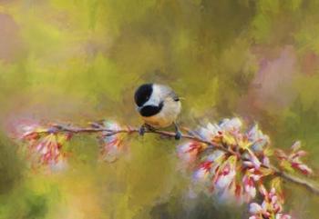 Impressionist Chickadee | Obraz na stenu