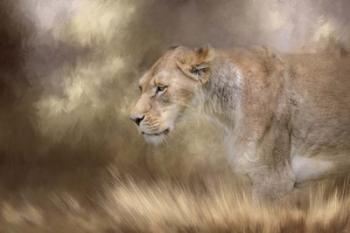 Lioness In Spring | Obraz na stenu